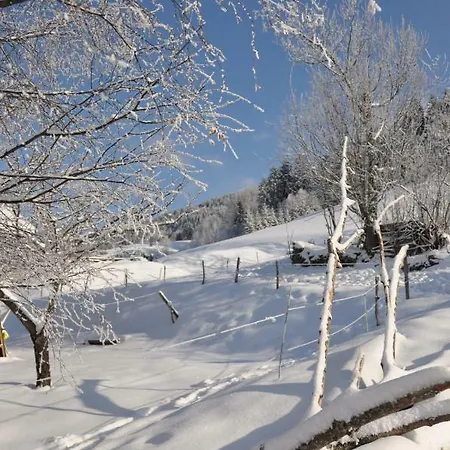 Etoile Des Neiges Апартаменты Les Avanchers