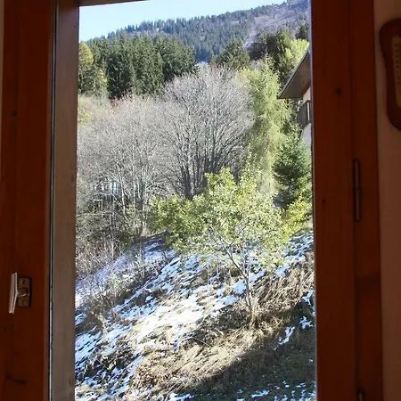 Etoile Des Neiges *