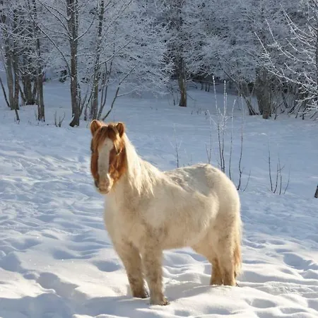Etoile Des Neiges Апартаменты